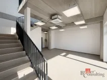 Pronájem obchodního prostoru, Brno, Vinohradská, 444 m2