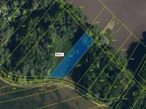 Dražba lesa, Přísnotice, 968 m2