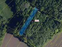 Dražba lesa, Přísnotice, 1135 m2