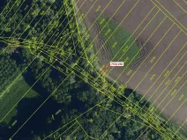 Dražba lesa, Přísnotice, 3 m2