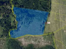 Dražba lesa, Libkov, 25540 m2