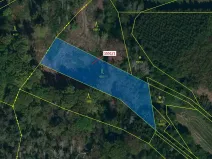 Dražba lesa, Přibyslavice, 2478 m2