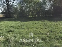 Prodej pozemku, Orlová - Poruba, Závodní, 12324 m2