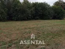 Prodej pozemku, Orlová - Poruba, Závodní, 12324 m2