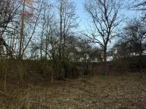 Prodej lesa, Velké Všelisy, 8197 m2