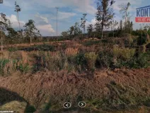 Prodej lesa, Blízkov, 31695 m2