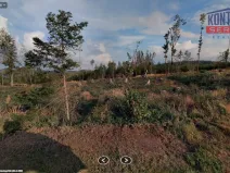 Prodej lesa, Blízkov, 31695 m2