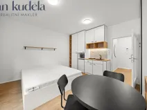 Pronájem bytu 1+kk, Brno, Cejl, 28 m2