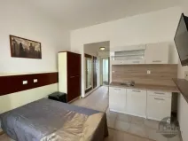 Pronájem bytu 1+kk, Praha - Žižkov, Prokopova, 16 m2