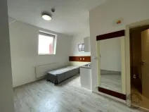 Pronájem bytu 1+kk, Praha - Žižkov, Prokopova, 24 m2
