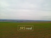 Prodej pole, Mokrá-Horákov, 2507 m2