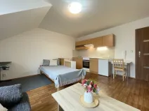 Pronájem bytu 1+kk, Olomouc - Nová Ulice, Balcárkova, 27 m2