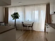 Pronájem bytu 1+kk, Praha - Michle, Batelovská, 22 m2