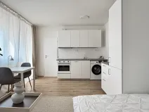 Pronájem bytu 1+kk, Praha - Michle, Batelovská, 22 m2