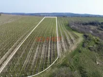 Prodej sadu/vinice, Němčičky, 11748 m2