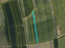 Prodej pole, Dolní Němčí, 18611 m2