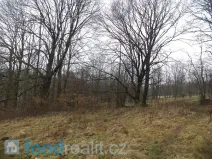 Prodej pole, Česká Kamenice - Horní Kamenice, 5161 m2