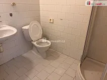 Pronájem bytu 1+kk, Praha - Zbraslav, K výtopně, 20 m2