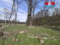 Prodej louky, Cvikov - Trávník, 545 m2