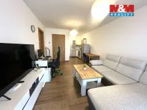 Pronájem bytu 2+kk, Olomouc - Nová Ulice, Třída Jiřího Pelikána, 49 m2
