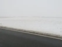 Dražba pole, Osová Bítýška, 1513 m2