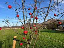 Prodej pole, Kozlovice, 100000 m2