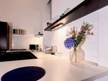 Pronájem bytu 1+kk, Praha - Vinohrady, Mánesova, 53 m2