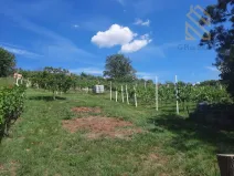 Prodej pozemku pro bydlení, Velké Žernoseky, 4490 m2