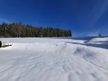 Prodej pozemku pro bydlení, Bublava, 720 m2