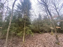 Prodej lesa, Blížejov - Lštění, 6627 m2