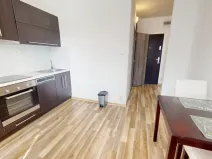 Pronájem bytu 1+1, Ostrava - Mariánské Hory, Korunní, 37 m2