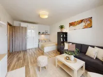 Pronájem bytu 1+1, Ostrava - Mariánské Hory, Korunní, 37 m2