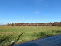 Prodej pozemku pro bydlení, Heřmanův Městec, Havlíčkova, 5663 m2