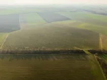 Prodej sadu/vinice, Troskotovice, 243931 m2