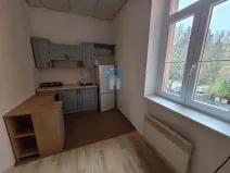 Pronájem bytu 1+kk, Plzeň, Rokycanská, 30 m2