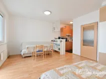Pronájem bytu 1+kk, Brno, Francouzská, 30 m2