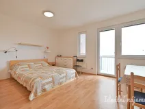 Pronájem bytu 1+kk, Brno, Francouzská, 30 m2
