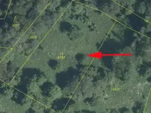 Prodej louky, Železný Brod, 2213 m2