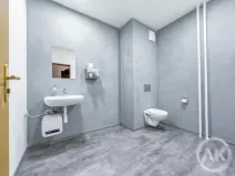 Pronájem kanceláře, Ostrava - Přívoz, Libušina, 34 m2