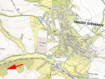 Prodej lesa, Trhový Štěpánov, 1133 m2