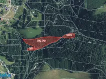 Prodej lesa, Strážná, 14738 m2