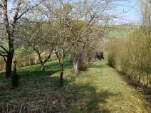 Prodej zahrady, Soběchleby, 1872 m2