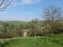 Prodej zahrady, Soběchleby, 1872 m2