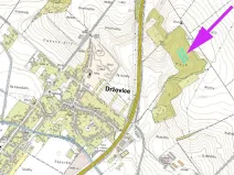 Prodej lesa, Držovice, 4332 m2
