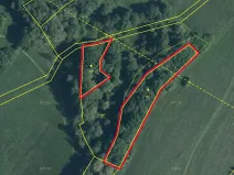 Prodej lesa, Stružnice, 3736 m2