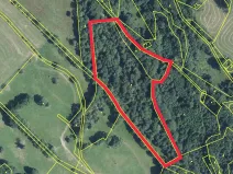 Prodej lesa, Trutnov, 21468 m2