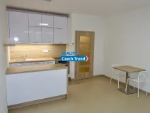Pronájem bytu 1+kk, Olomouc, Čajkovského, 30 m2