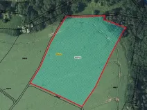 Prodej pole, Mšeno, 9988 m2