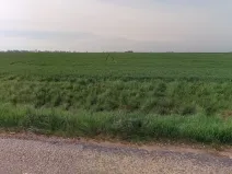 Prodej pole, Kostomlaty nad Labem, 9904 m2