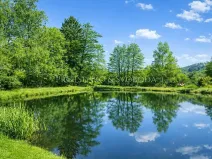 Prodej chalupy, Ždírec nad Doubravou, 290 m2